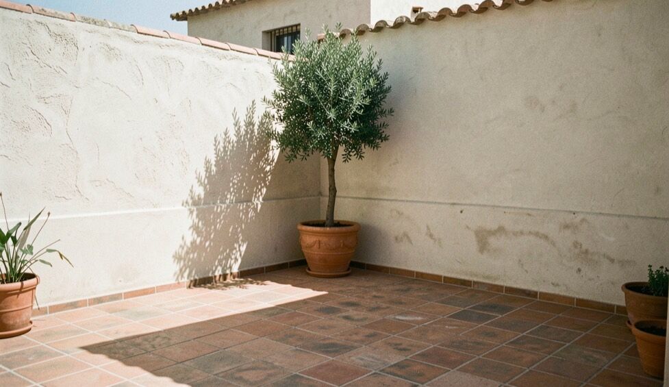Patio carré au cœur d’une maison méditerranéenne, quatre murs enduits à la chaux de deux niveaux, ombre portée couvrant les deux tiers du dallage à midi et figuier en pot dans l’angle