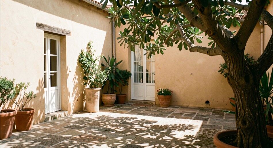 Cour intérieure de maison provençale à midi, mur ocre clair, figuier dont l’ombre découpée couvre la moitié du dallage de pierre chaude